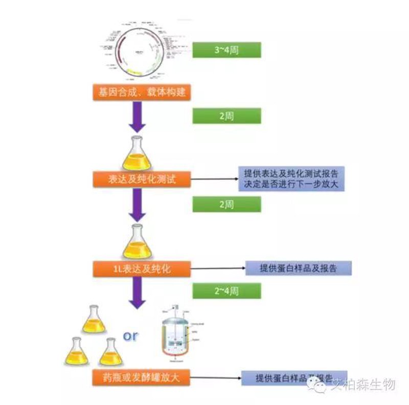 基因检测服务:开启健康大门的新钥匙